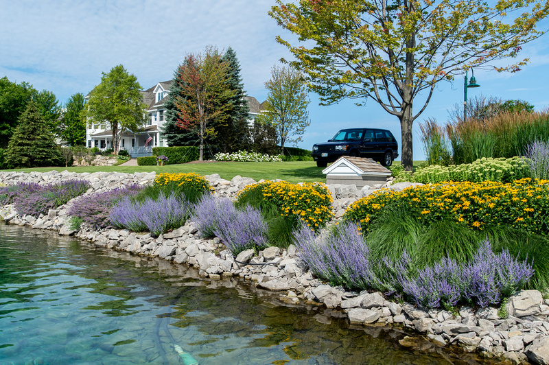 shoreline landscape